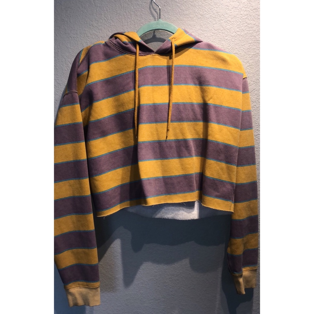 Urban Outfitters cropped hoodie
